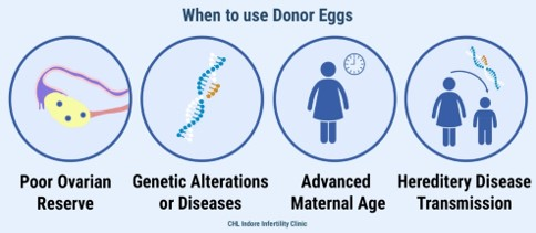 Donor