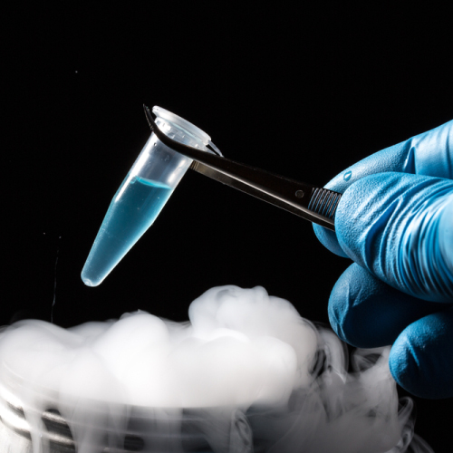 EMBRYO CRYOPRESERVATION